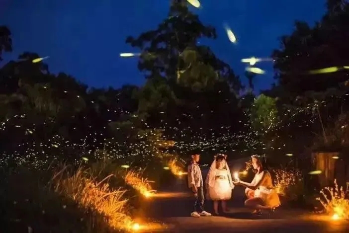 揚州國際藝術燈光節 640.webp (3)