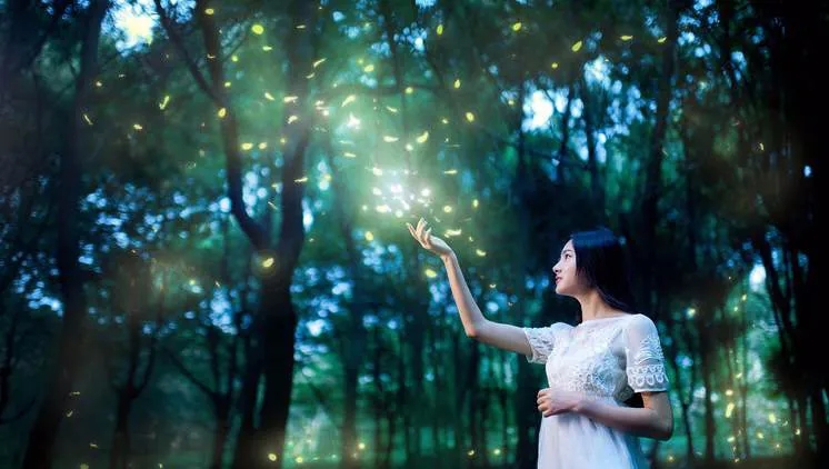 揚州國際藝術燈光節 640.webp (4)